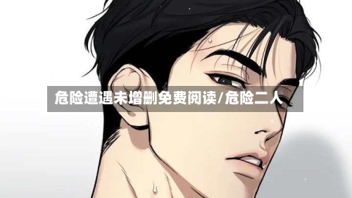 危险遭遇未增删免费阅读/危险二人