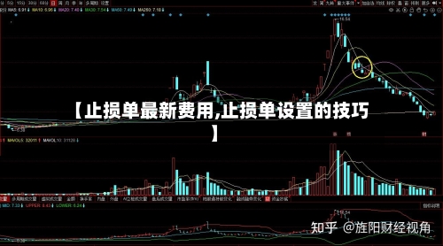 【止损单最新费用,止损单设置的技巧】