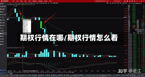 期权行情在哪/期权行情怎么看