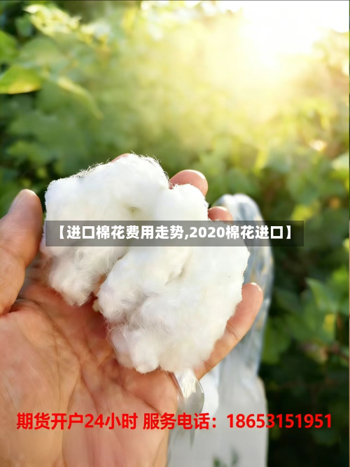 【进口棉花费用走势,2020棉花进口】