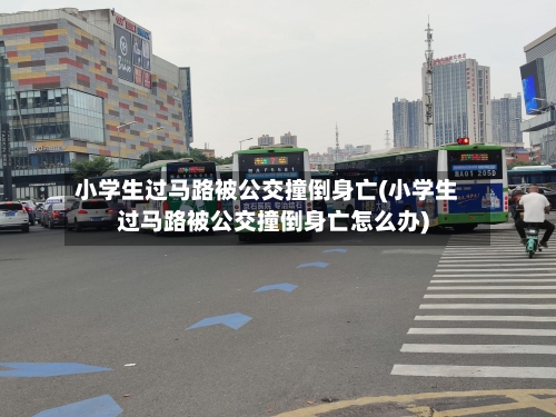 小学生过马路被公交撞倒身亡(小学生过马路被公交撞倒身亡怎么办)-第3张图片
