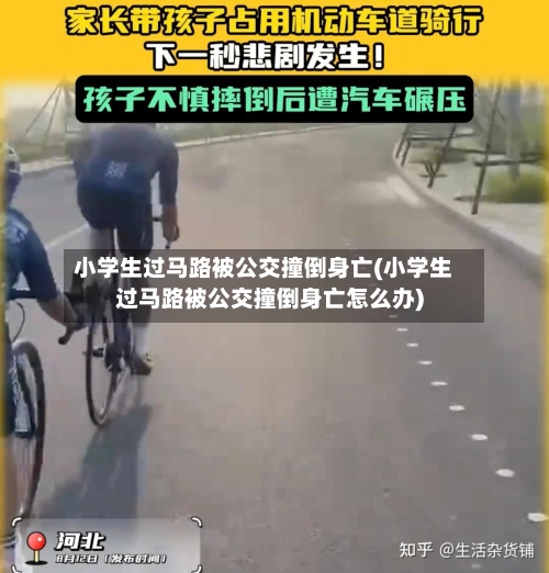 小学生过马路被公交撞倒身亡(小学生过马路被公交撞倒身亡怎么办)