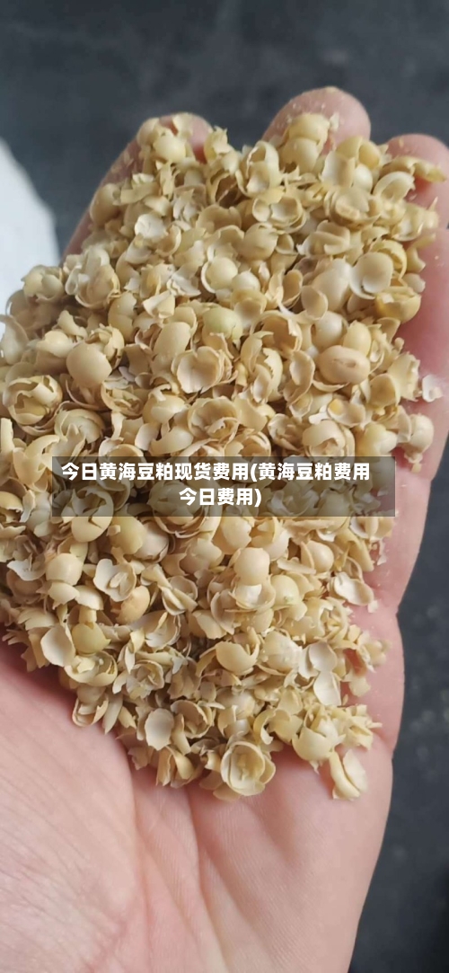 今日黄海豆粕现货费用(黄海豆粕费用今日费用)