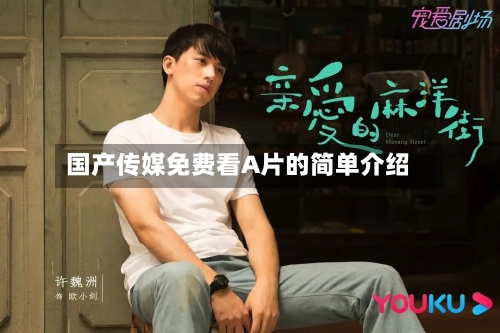 国产传媒免费看A片的简单介绍-第2张图片