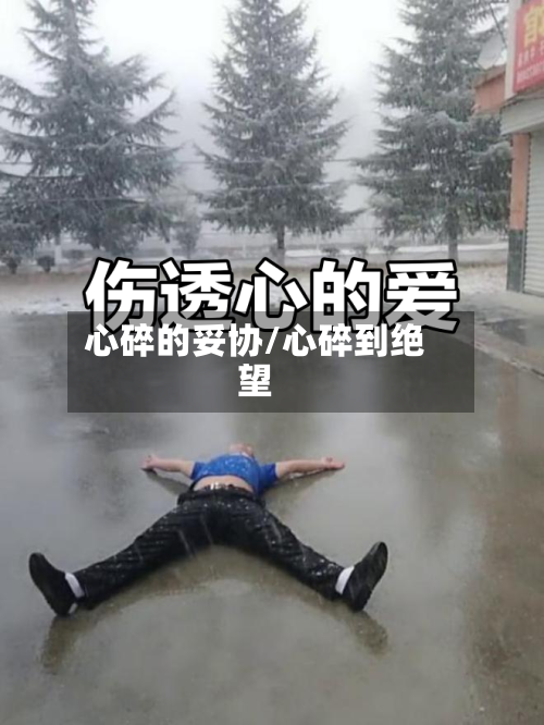 心碎的妥协/心碎到绝望-第3张图片