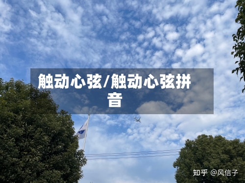 触动心弦/触动心弦拼音