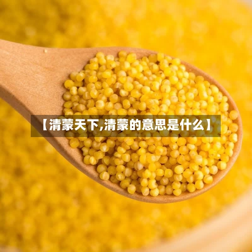 【清蒙天下,清蒙的意思是什么】-第2张图片