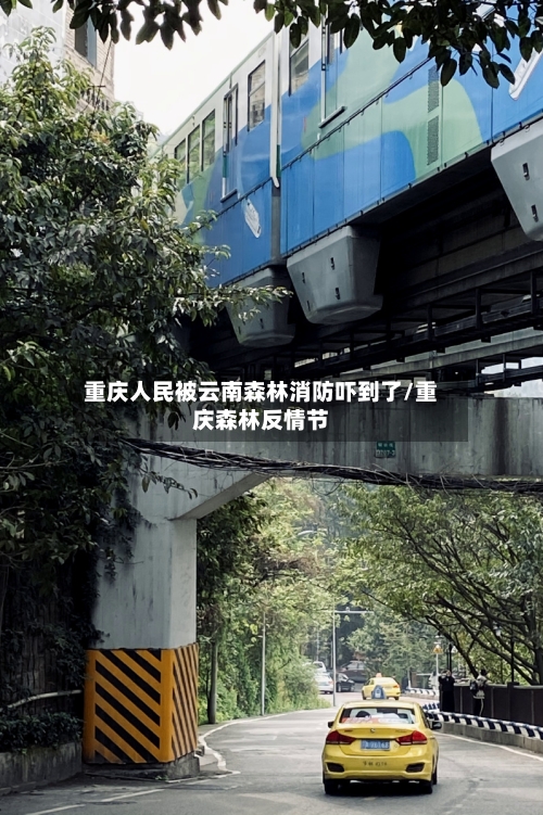 重庆人民被云南森林消防吓到了/重庆森林反情节