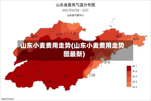 山东小麦费用走势(山东小麦费用走势图最新)