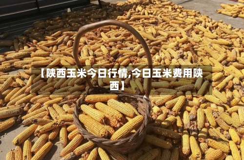 【陕西玉米今日行情,今日玉米费用陕西】