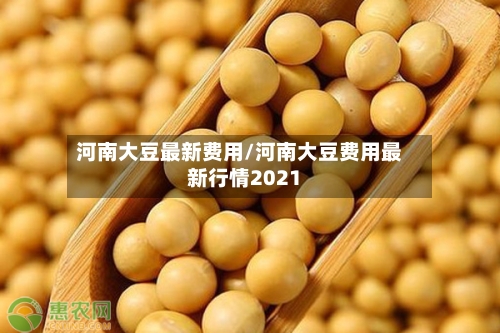 河南大豆最新费用/河南大豆费用最新行情2021