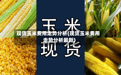 现货玉米费用走势分析(现货玉米费用走势分析最新)-第2张图片