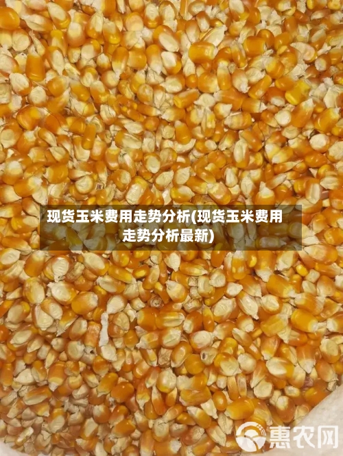 现货玉米费用走势分析(现货玉米费用走势分析最新)