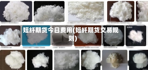 短纤期货今日费用(短纤期货交易规则)-第2张图片