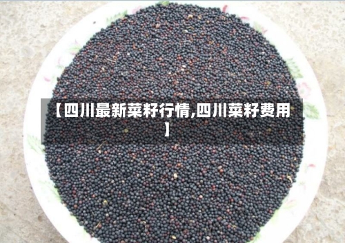【四川最新菜籽行情,四川菜籽费用】