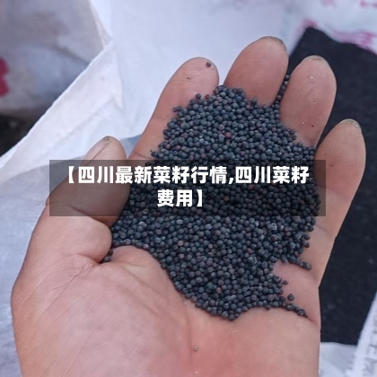 【四川最新菜籽行情,四川菜籽费用】-第2张图片