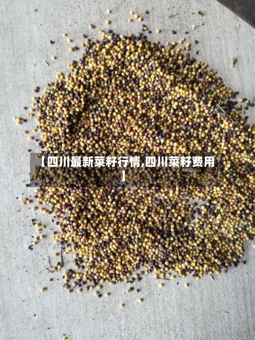 【四川最新菜籽行情,四川菜籽费用】-第3张图片