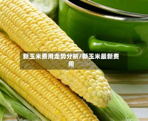新玉米费用走势分析/新玉米最新费用