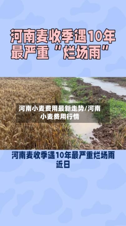 河南小麦费用最新走势/河南小麦费用行情