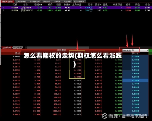 怎么看期权的走势(期权怎么看涨跌)