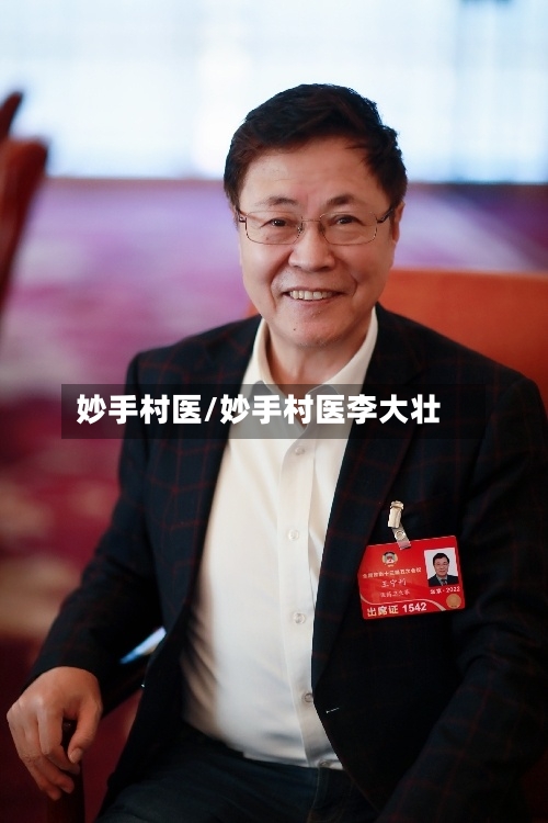 妙手村医/妙手村医李大壮-第2张图片