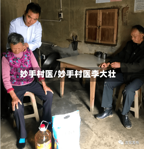妙手村医/妙手村医李大壮-第3张图片
