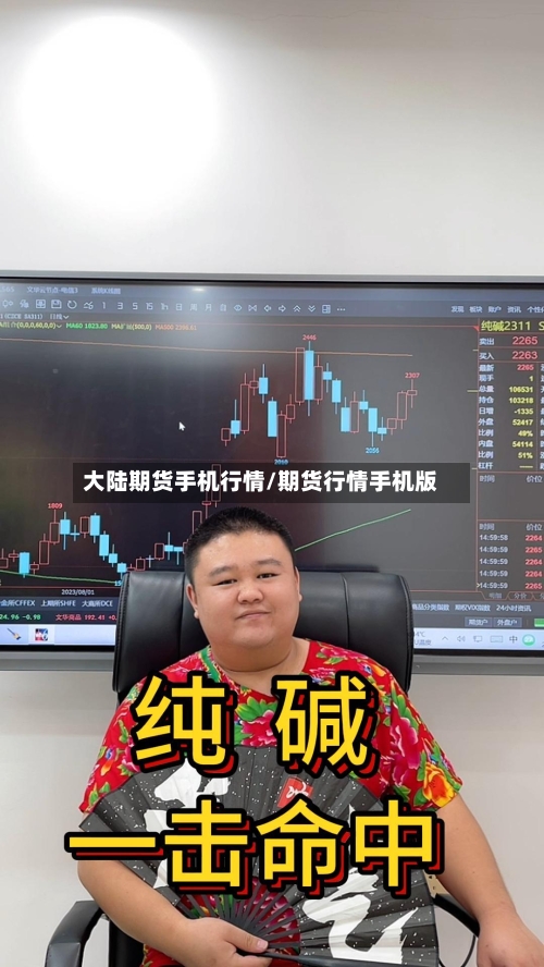 大陆期货手机行情/期货行情手机版
