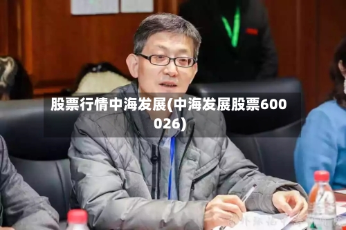 股票行情中海发展(中海发展股票600026)-第2张图片