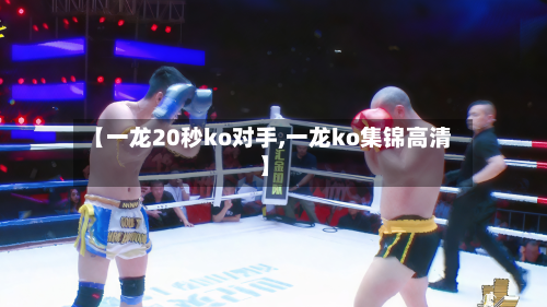 【一龙20秒ko对手,一龙ko集锦高清】-第2张图片
