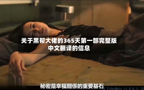 关于黑帮大佬的365天第一部完整版中文翻译的信息-第2张图片