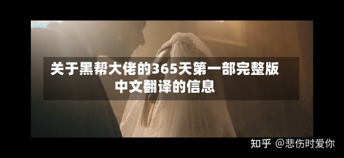 关于黑帮大佬的365天第一部完整版中文翻译的信息-第3张图片