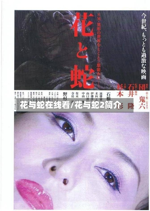 花与蛇在线看/花与蛇2简介-第3张图片