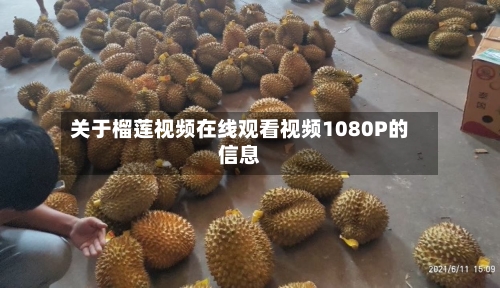 关于榴莲视频在线观看视频1080P的信息