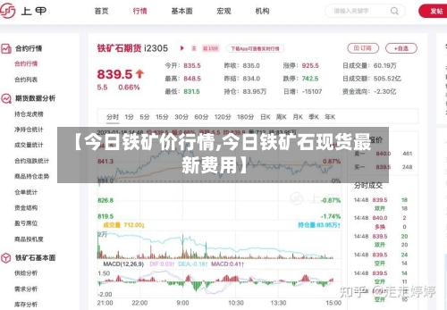 【今日铁矿价行情,今日铁矿石现货最新费用】