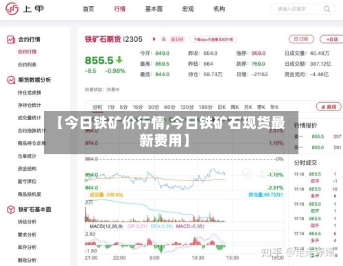 【今日铁矿价行情,今日铁矿石现货最新费用】-第2张图片
