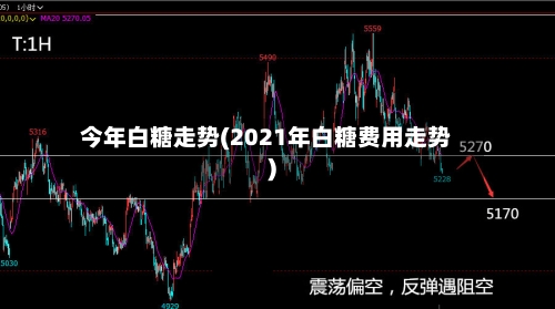 今年白糖走势(2021年白糖费用走势)-第2张图片