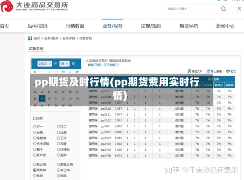 pp期货及时行情(pp期货费用实时行情)-第3张图片