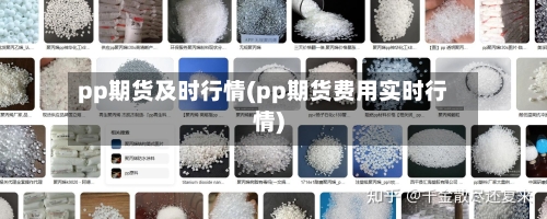pp期货及时行情(pp期货费用实时行情)-第2张图片