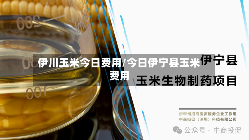 伊川玉米今日费用/今日伊宁县玉米费用