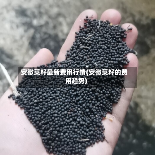 安徽菜籽最新费用行情(安徽菜籽的费用趋势)-第2张图片