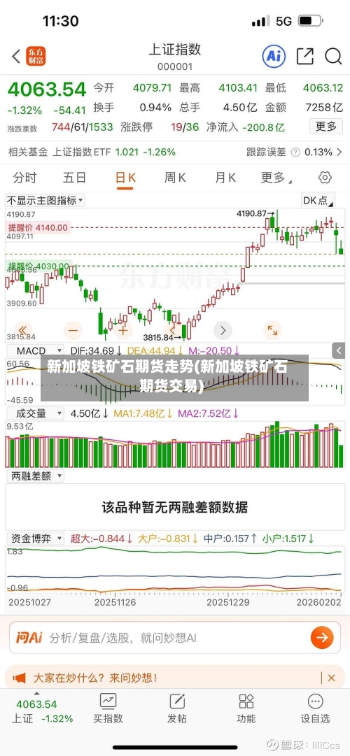 新加坡铁矿石期货走势(新加坡铁矿石期货交易)-第2张图片