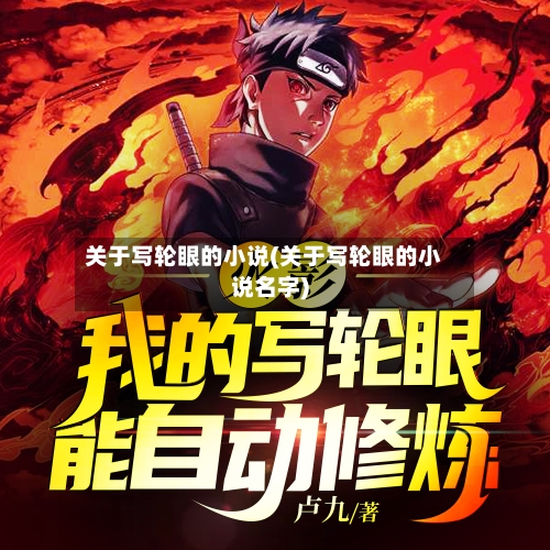 关于写轮眼的小说(关于写轮眼的小说名字)-第2张图片