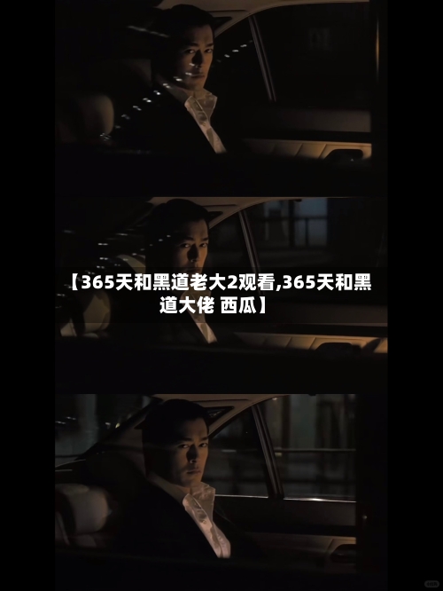 【365天和黑道老大2观看,365天和黑道大佬 西瓜】-第2张图片