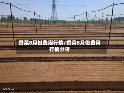 香菜8月份费用行情/香菜8月份费用行情分析-第2张图片