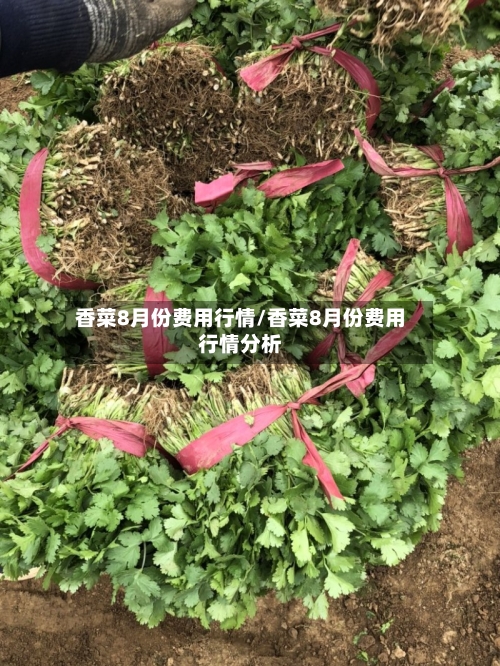 香菜8月份费用行情/香菜8月份费用行情分析