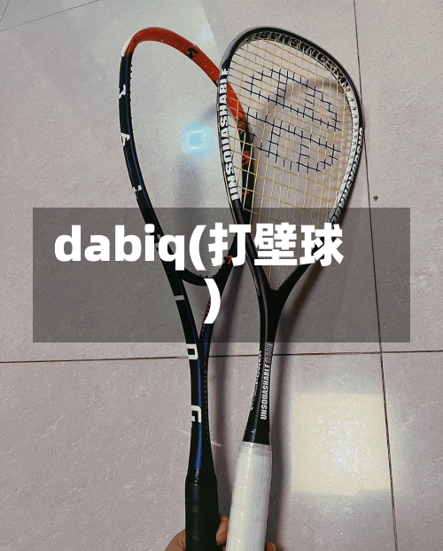 dabiq(打壁球)