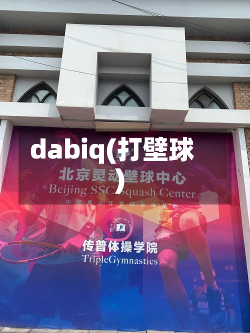 dabiq(打壁球)-第3张图片