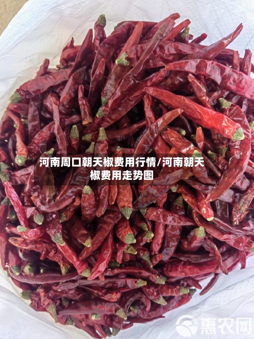 河南周口朝天椒费用行情/河南朝天椒费用走势图-第2张图片