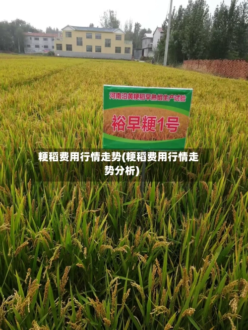 粳稻费用行情走势(粳稻费用行情走势分析)