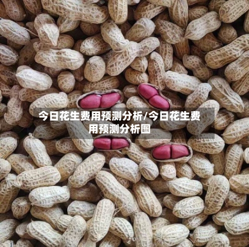 今日花生费用预测分析/今日花生费用预测分析图-第2张图片